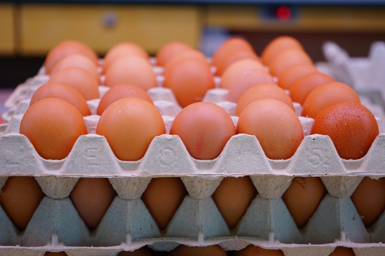 Egg