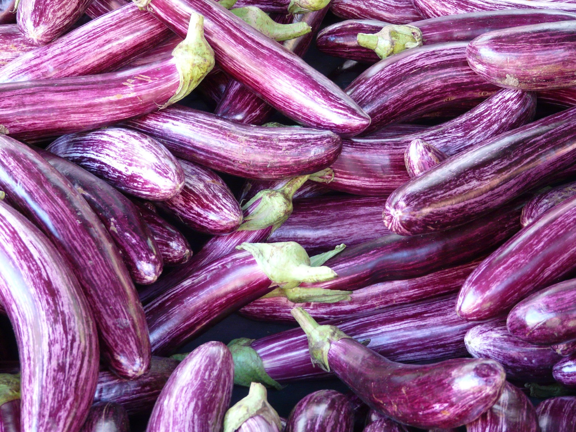 Eggplant 73906 1920