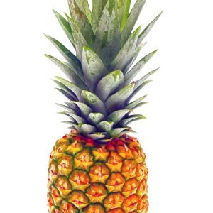Pineapples