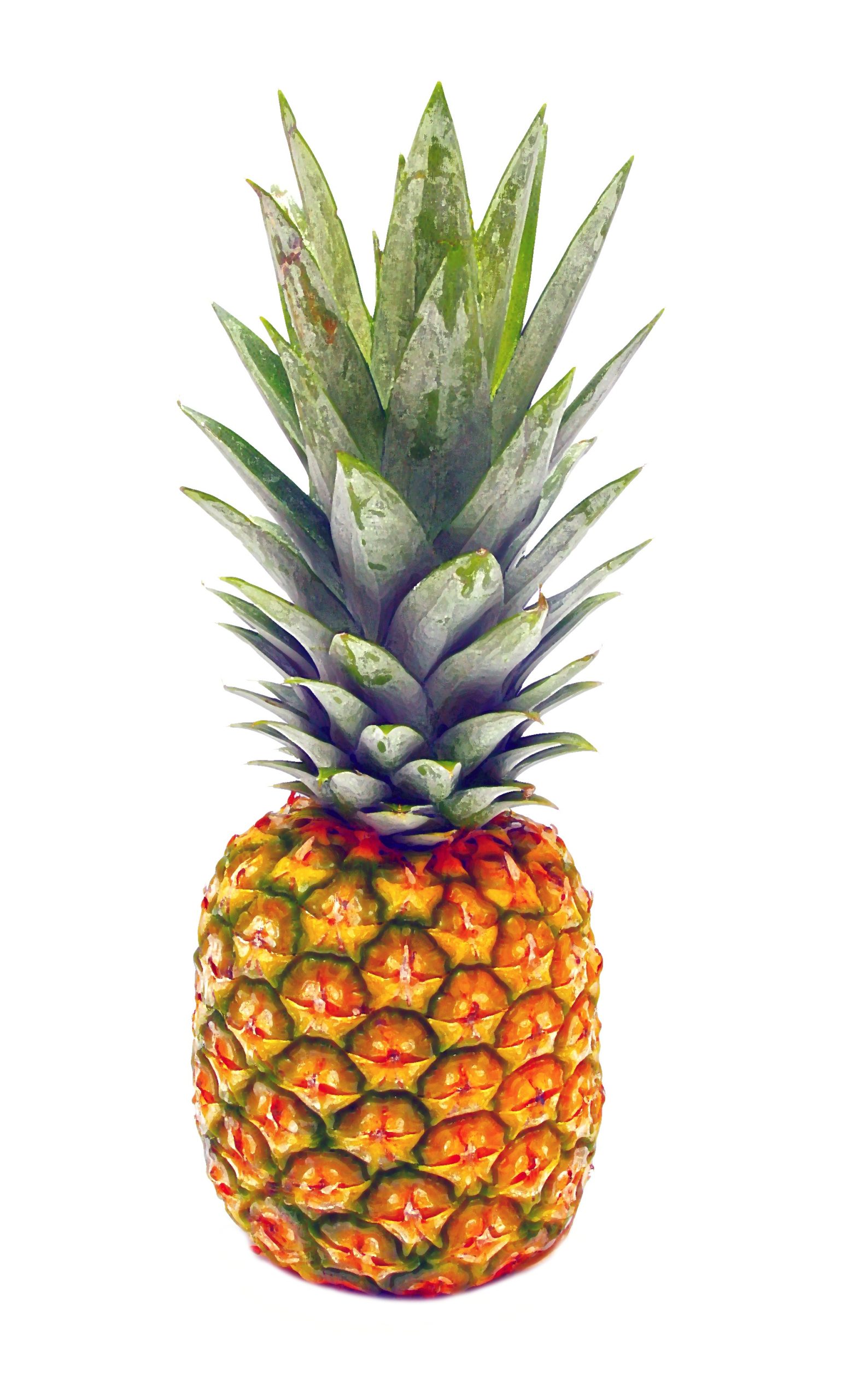 Pineapple 909097 Scaled