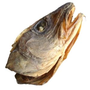 Stock Fish -head